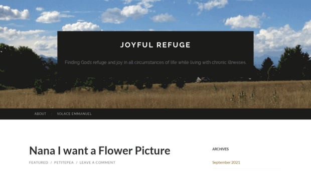 joyfulrefuge.com