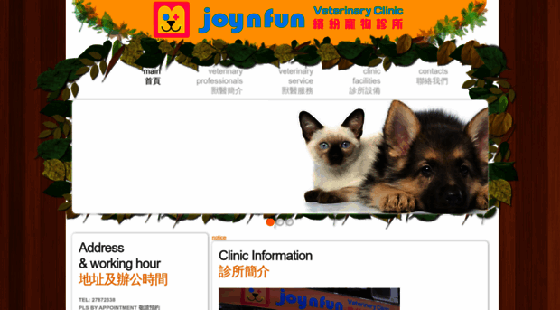 joynfunvet.com