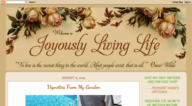 joyouslylivinglife.blogspot.com