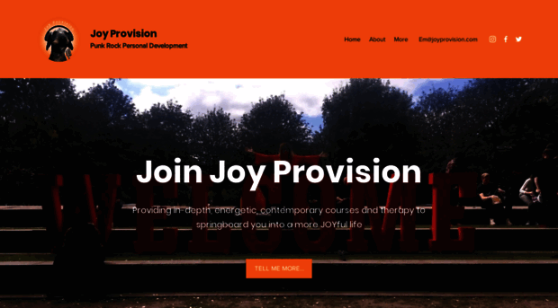 joyprovision.com