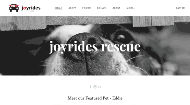 joyrides.org