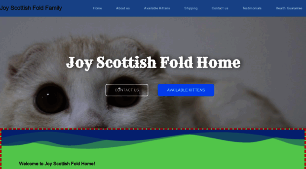 joyscottishfoldhome.com