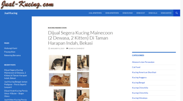 jual-kucing.com