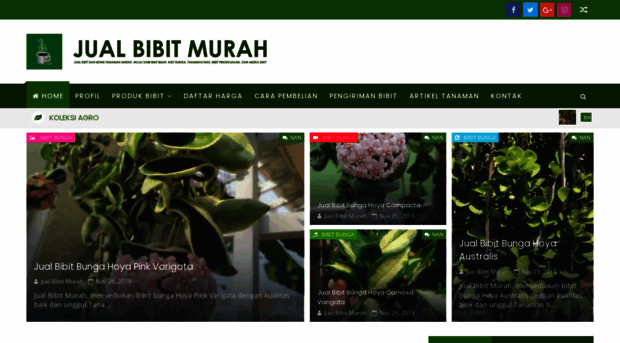 jualbibitmurah.com