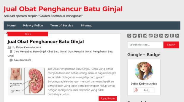 jualobatpenghancurbatuginjal.blogspot.com