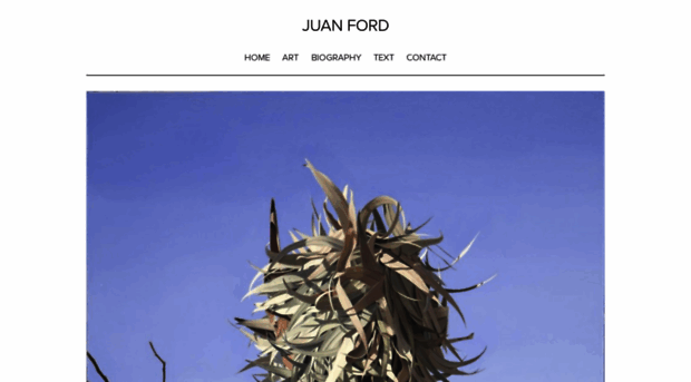 juanford.com