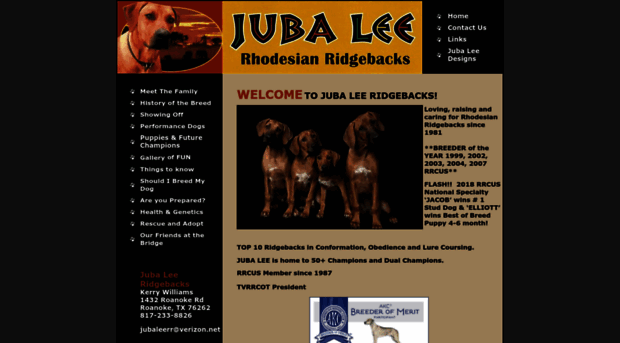 juba-lee.com