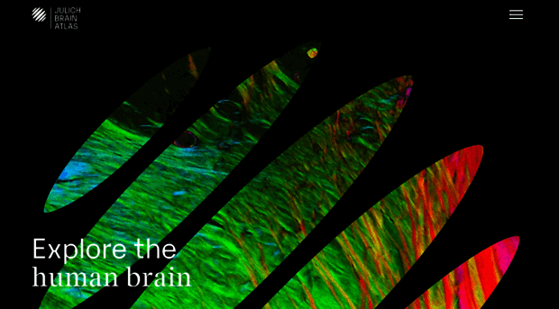 jubrain.fz-juelich.de