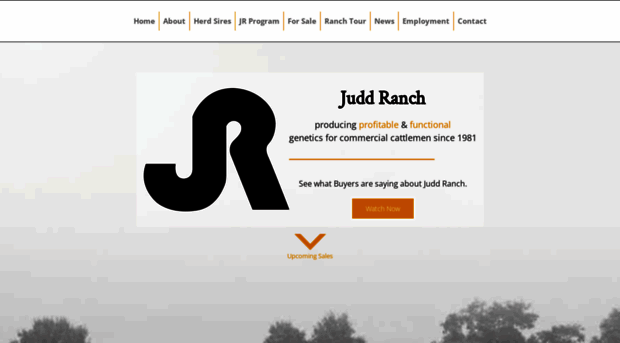 juddranch.com