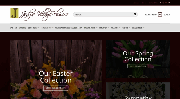 judysvillageflowers.com