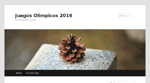 juegosolimpicos2016.co