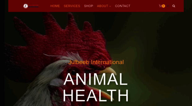 julbeebinternational.com