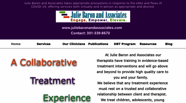 juliebaronandassociates.com