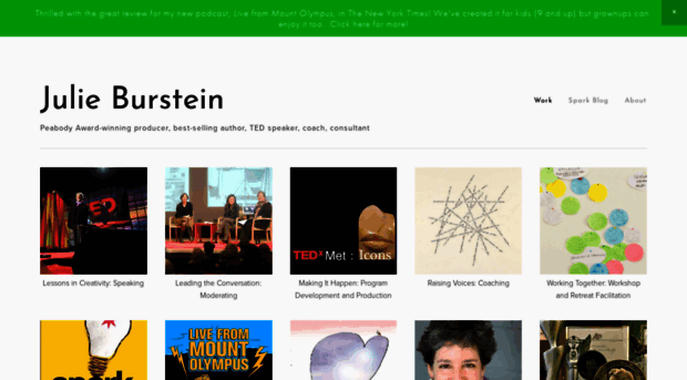 julieburstein.com