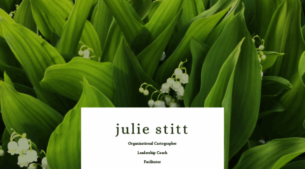 juliestitt.com