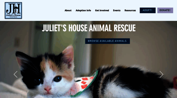 julietshouse.org