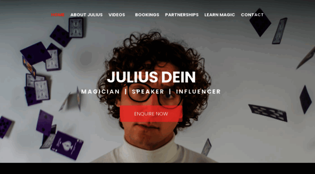 juliusmagic.com