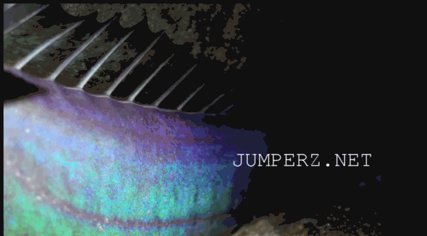 jumperz.net