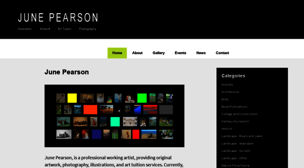 junepearson.co.nz