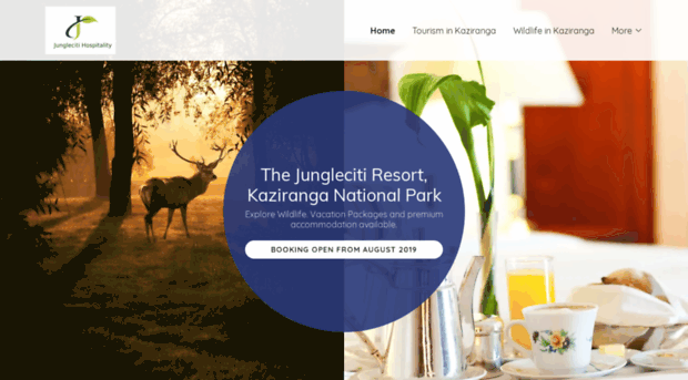 junglecitihospitalityindia.com