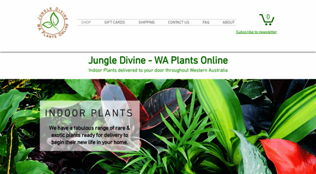 jungledivine.com.au