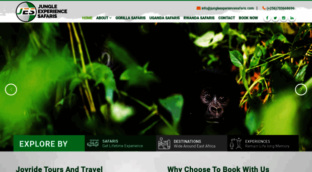 jungleexperiencesafaris.com