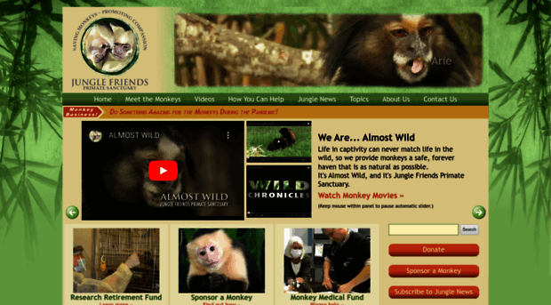 junglefriends.org