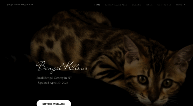 junglefusionbengals.com