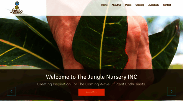 junglenursery.com