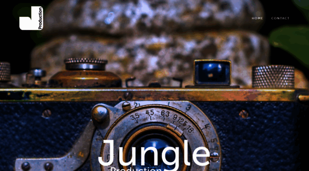 jungleproduction.co.uk