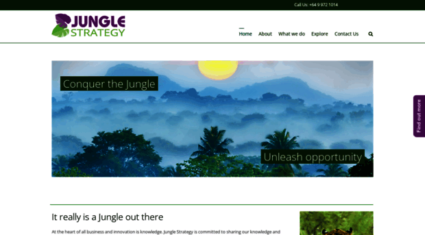 junglestrategy.com