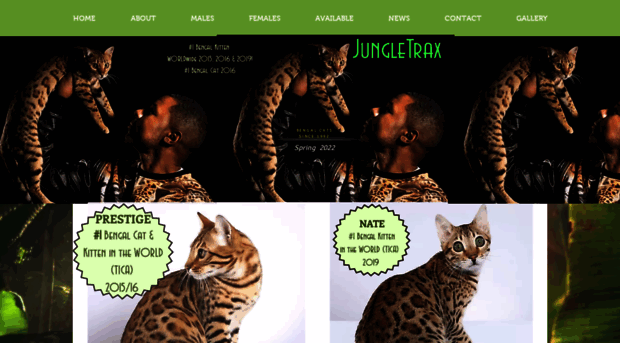 jungletraxcats.com