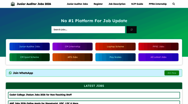 juniorauditorjobs.com