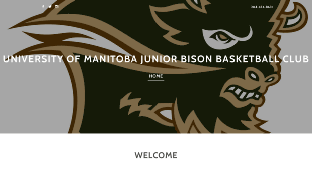 juniorbisonbasketballclub.com