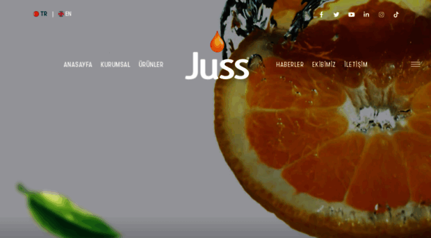 juss.com.tr