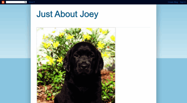 justaboutjoey.blogspot.com