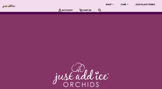 justaddiceorchids.com