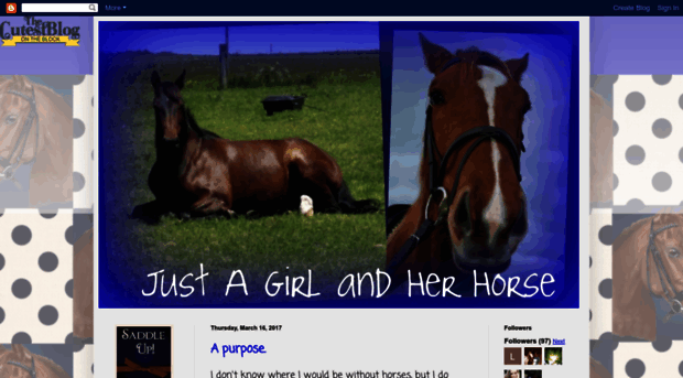 justagirlandherhorse.blogspot.com