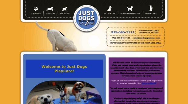 justdogsplaycare.com