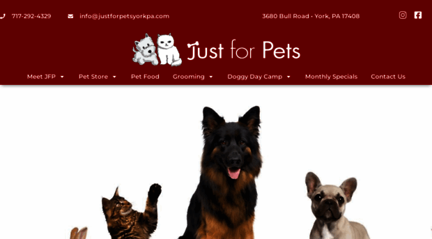 justforpetsyorkpa.com