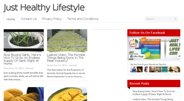 justhealthylifestyle.com