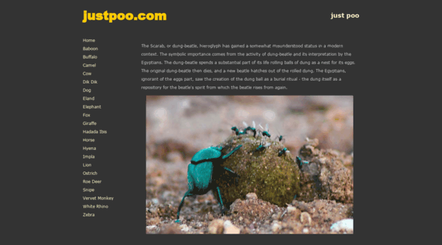 justpoo.com