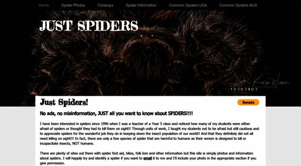 justspiders.com