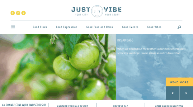 justvibehouston.com