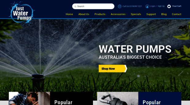 justwaterpumps.com.au