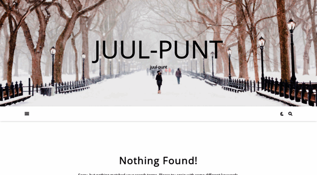 juul-punt.com