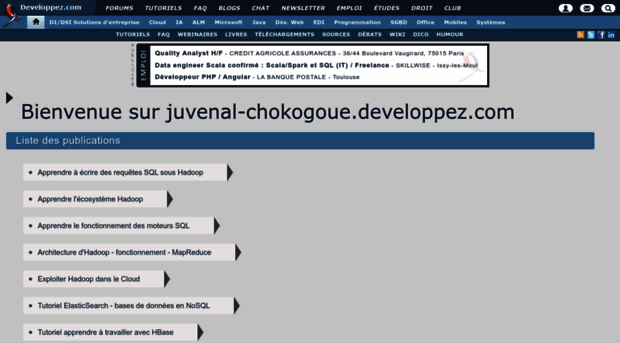 juvenal-chokogoue.developpez.com