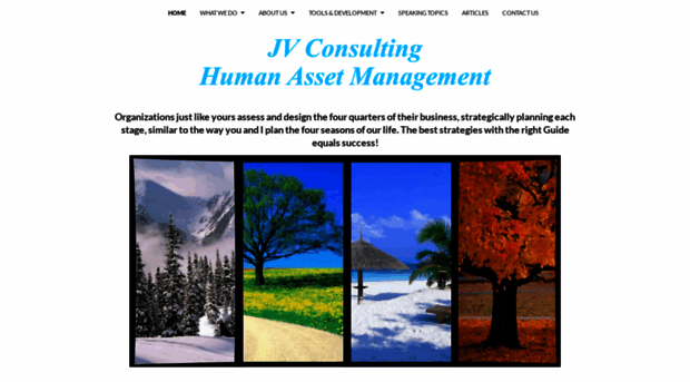 jvconsults.com