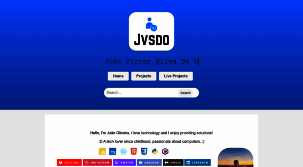 jvsdo.com