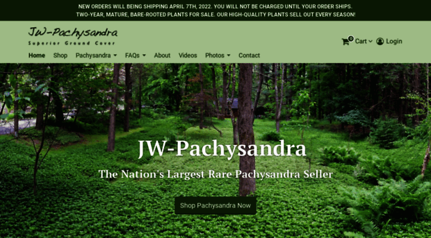 jw-pachysandra.com